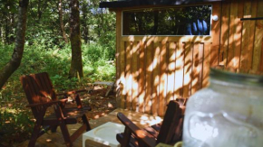 Chambre scandinave dans un parc forestier
